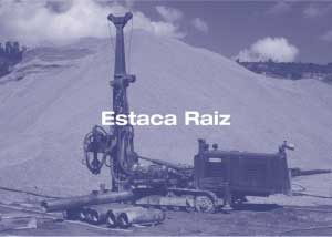 Estaca raiz